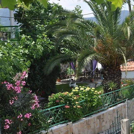 Studios Ifigenia Apartment