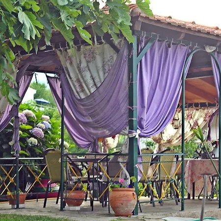 Studios Ifigenia Apartment *