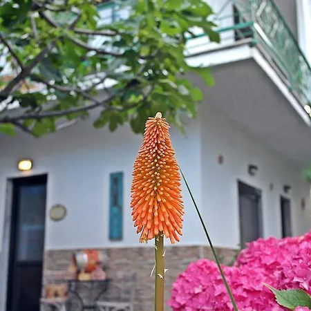 Ifigenia Apartamento