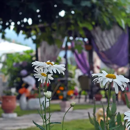 Ifigenia * Skala Potamia (Thasos)