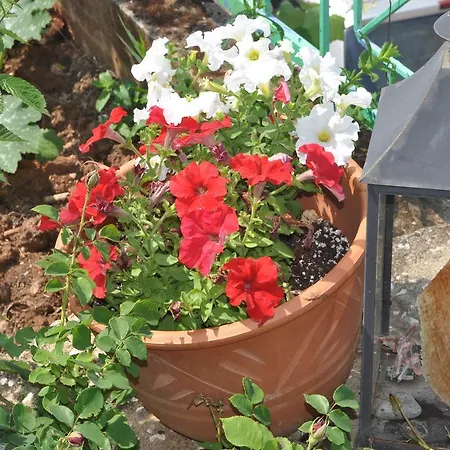 Ifigenia Skala Potamia (Thasos)