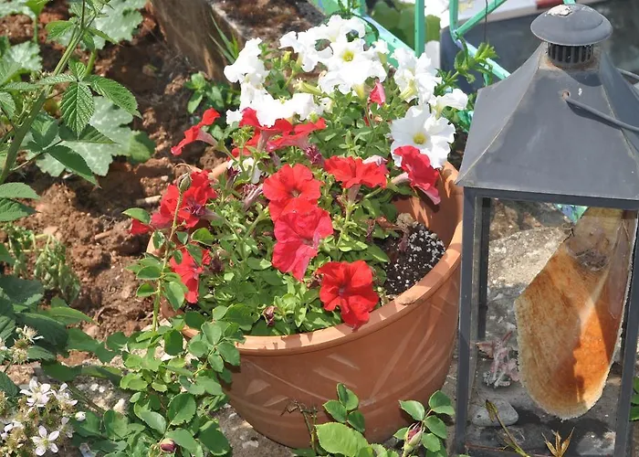 Ifigenia Skala Potamia (Thasos)